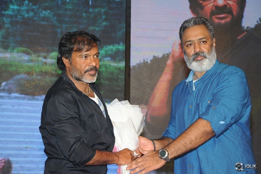 Hora-Hori-Movie-Audio-Launch